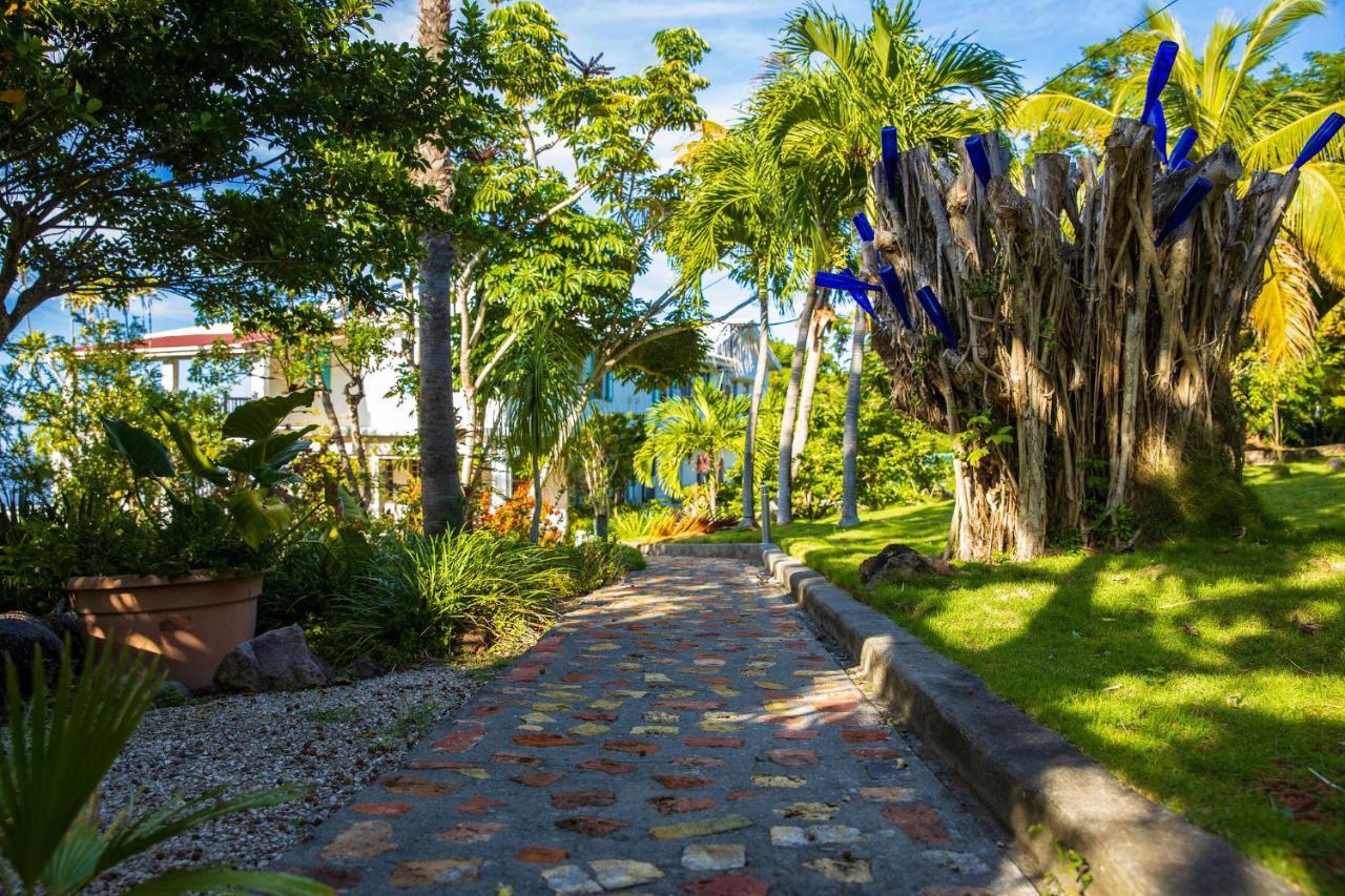 Quill Gardens Boutique Hotel Oranjestad  Exterior photo